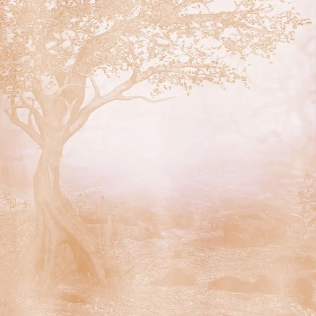 background-2044512_640.webp