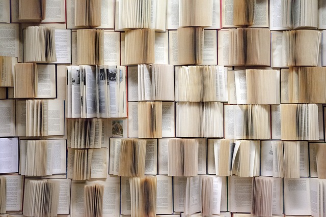 book-wall-1151405_640.jpg