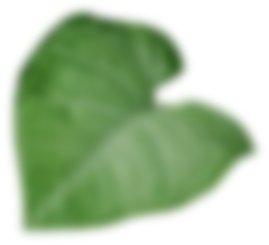 image-03