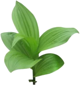 未标题-1.webp