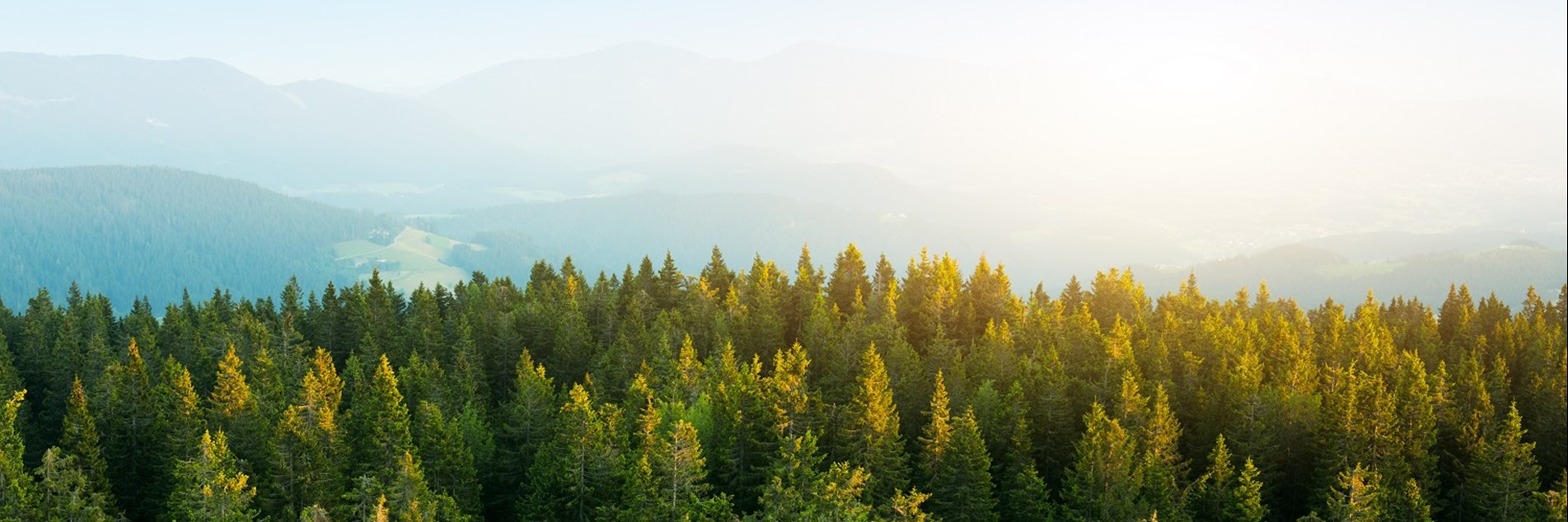 sustainability-01.jpg